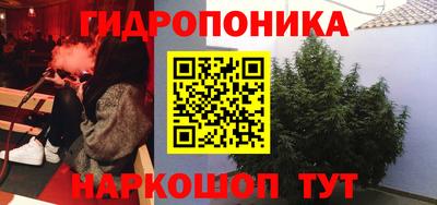 spice Моздок