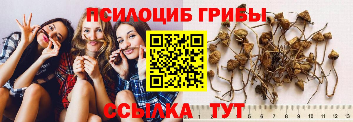 Псилоцибиновые грибы прущие грибы Хабаровск