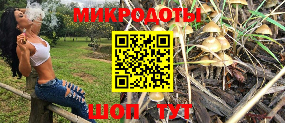 Хабаровск  Галлюциногенные грибы ЛСД  где продают наркотики  Вход с VPN 